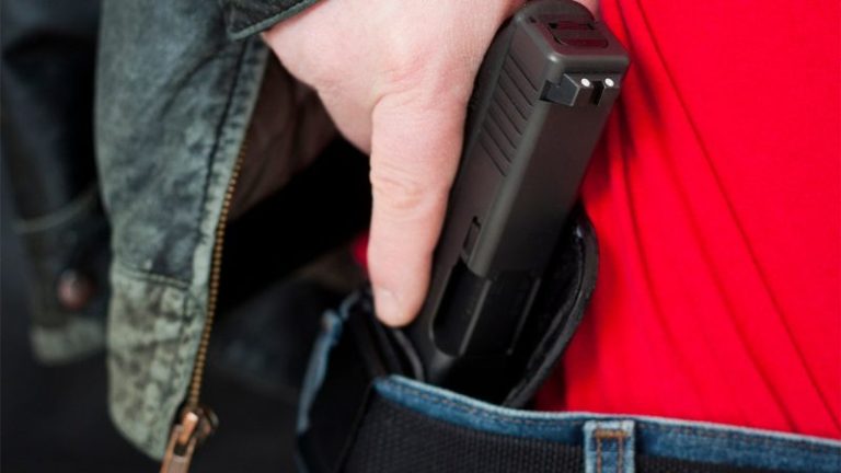 Florida one step closer to giving DeSantis chance to make US a constitutional carry majority
