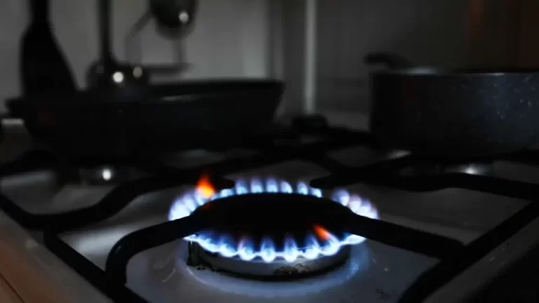 ‘Hands off my stove’: New group pushes back against gas stove bans sweeping nation
