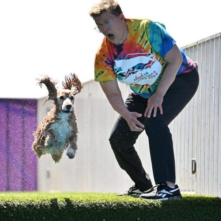 Photos: The 147th Westminster Kennel Club Dog Show
