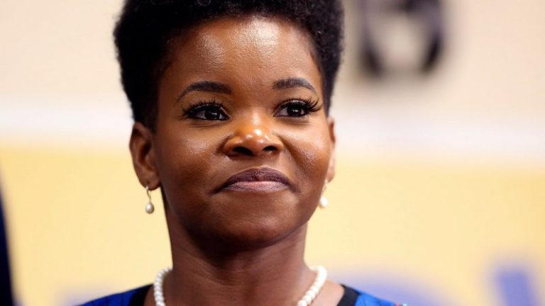 Mother of Buffalo shooting survivor faces off against former mayoral candidate in local New York primaries