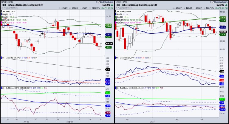 Biotechnology on Drugs