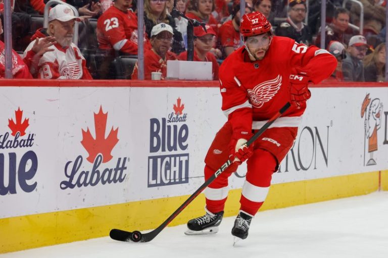 Red Wings player suspended six games for retaliatory cross-check