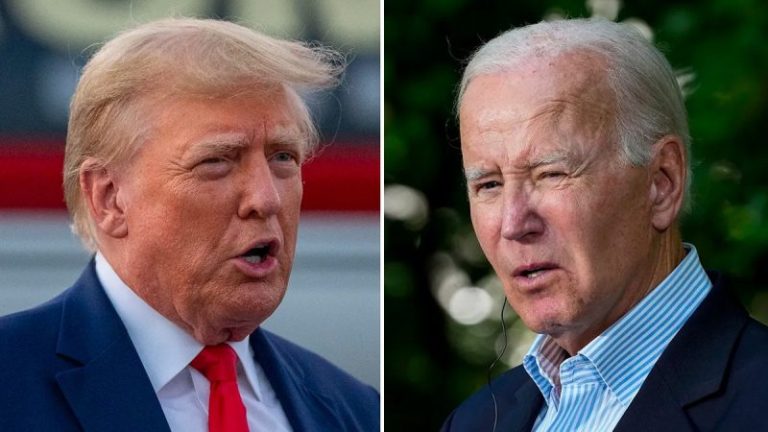 Majority of Americans believe both Biden and Trump are too old for another term: poll