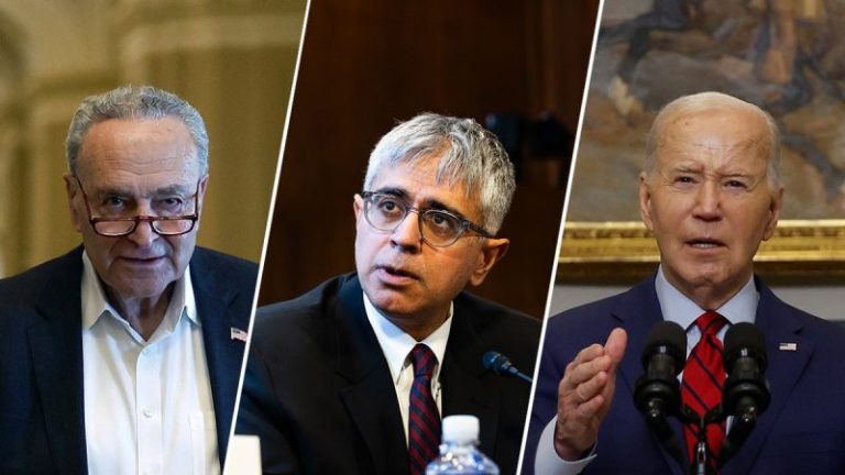 Schumer may let controversial Biden nominee with ‘problematic’ ties quietly expire: expert