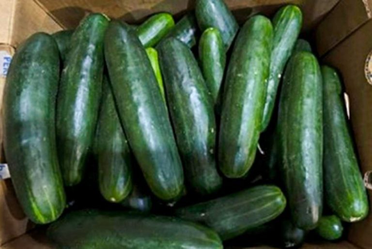 Recalled cucumbers linked to at least 449 illnesses have been pulled from stores, CDC says