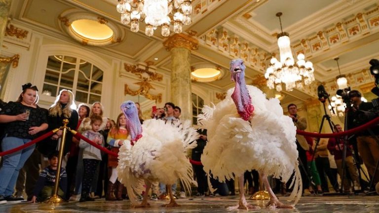 PETA protests Biden turkey pardon with ‘Hell on Wheels’ display, subliminal messaging to make people go vegan