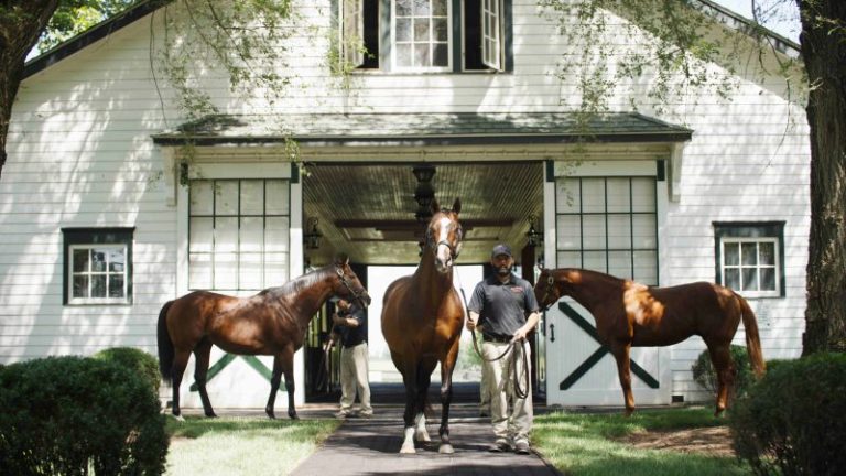 Great libido, huge mating fee: Meet the Kentucky Derby’s hottest stud