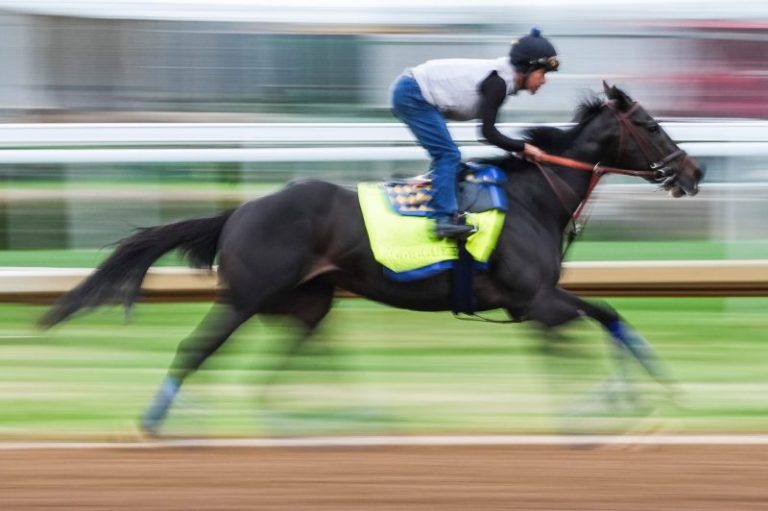 Baffert-trained Rodriguez is late scratch for Kentucky Derby