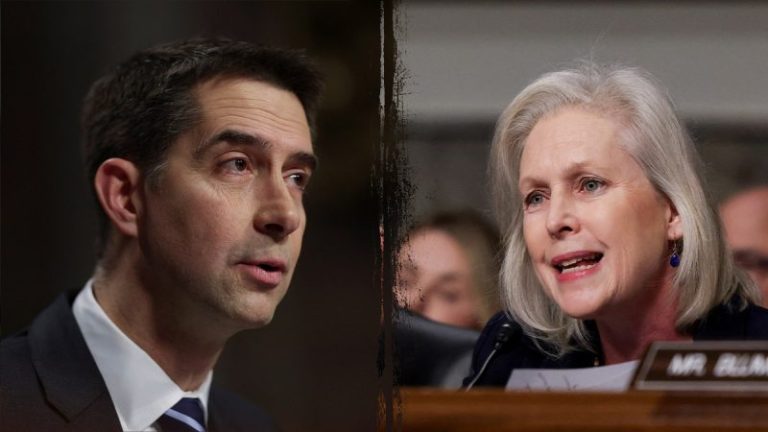 US military would be unleashed on enemy drones on the homeland if bipartisan bill passes