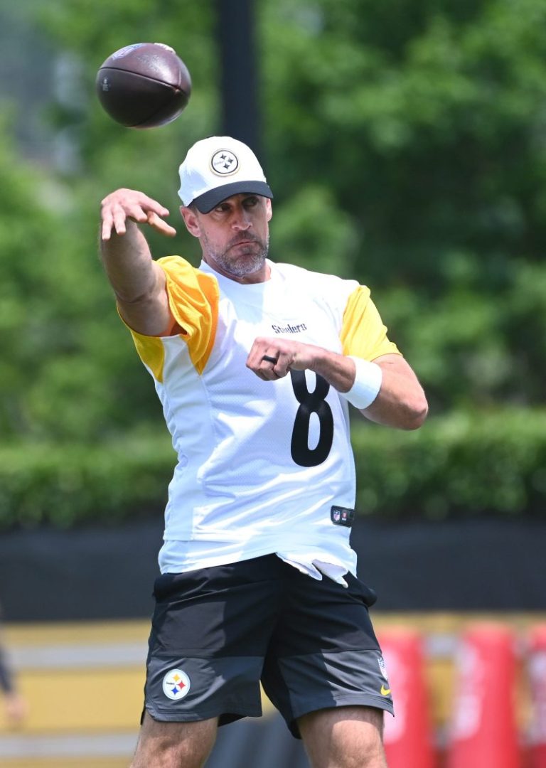 Aaron Rodgers went to Mike Tomlin’s backyard cookout