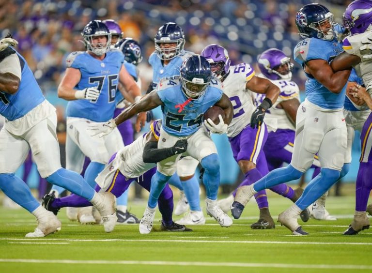 Sex toy thrown onto field during Titans game Friday night